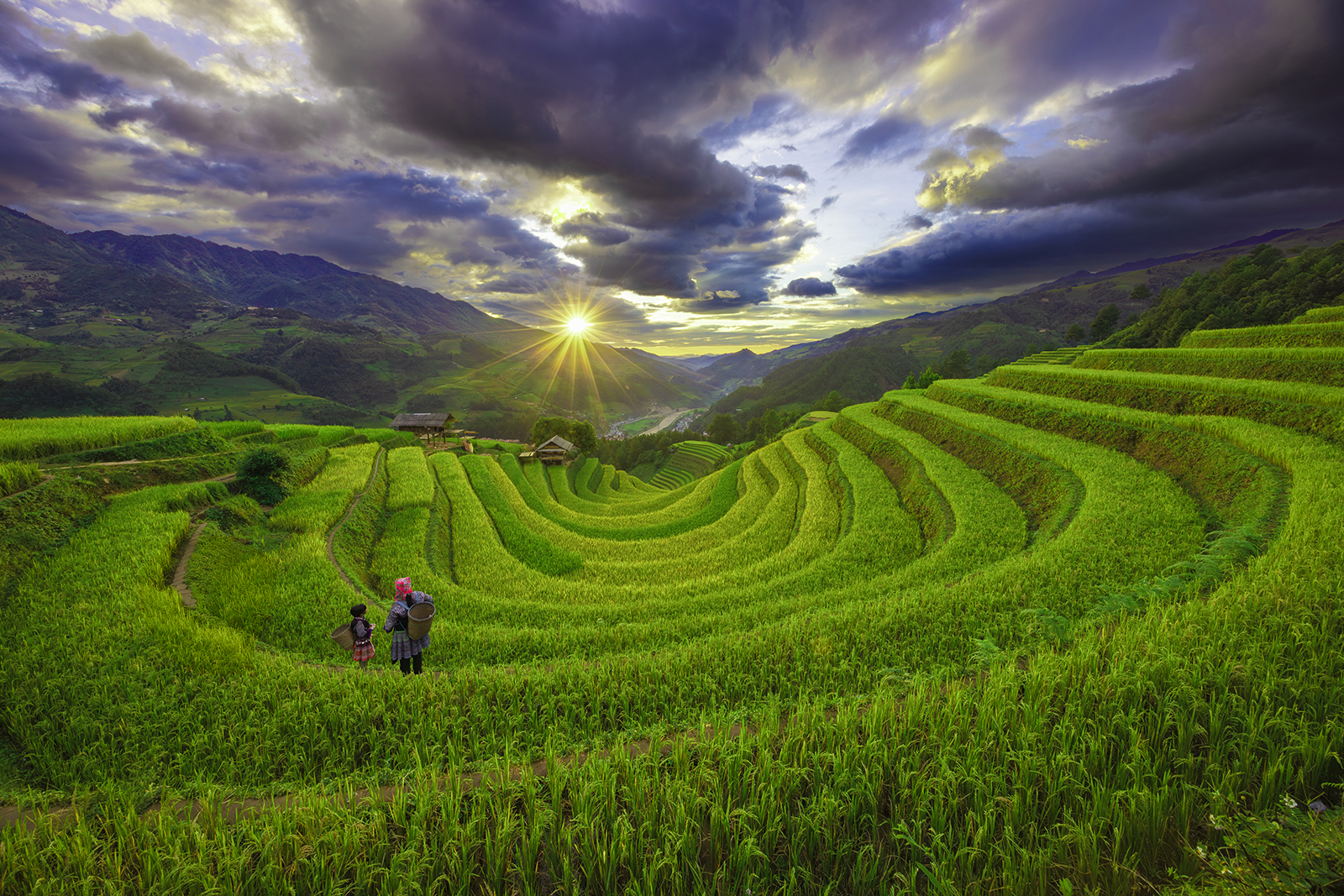 HC - Sunset on the Rice Terraces - Steve Burton