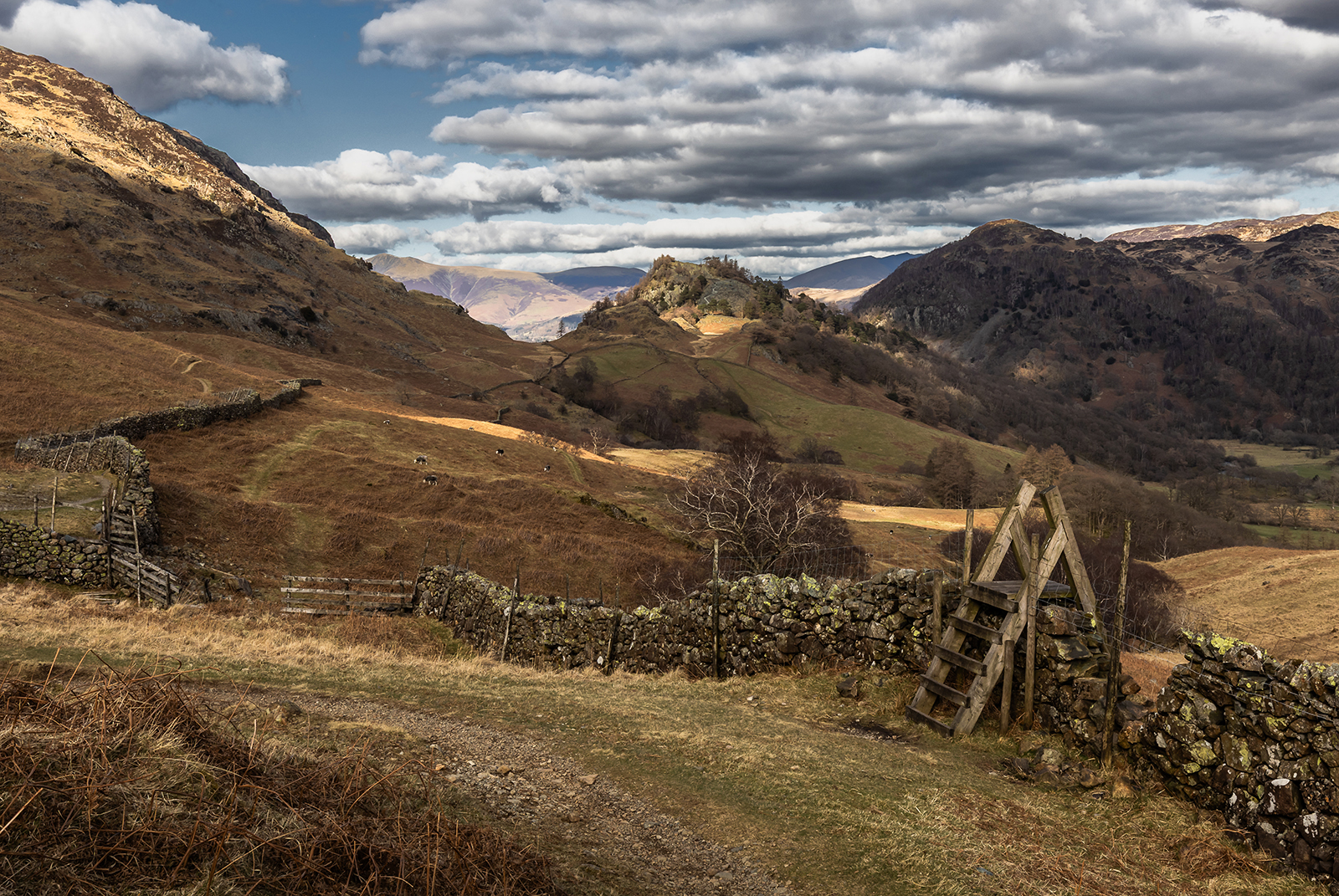 HC - Walk in the Park - Neil Anderson